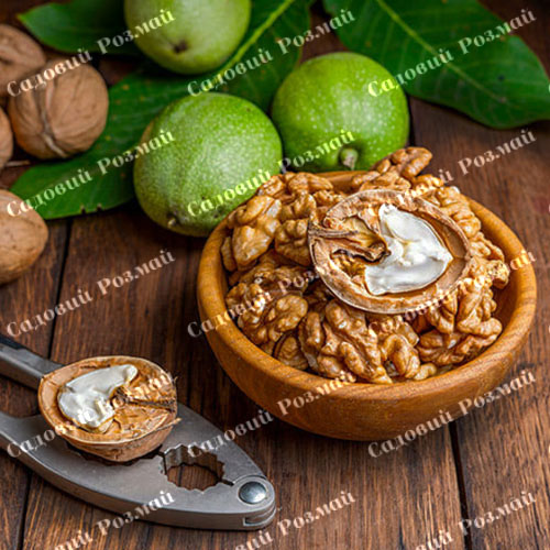 Саджанці грецького горіха «Садко» (привитий)